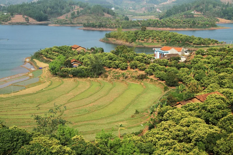 Những thửa ruộng bậc thang uốn cong ven hồ Cấm Sơn giữa đồi xanh và nhà cửa thưa thớt ở Bắc Giang.